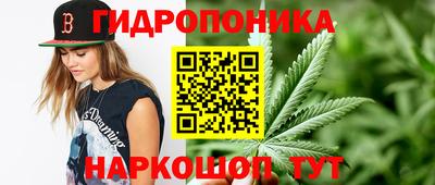 гашишное масло Будённовск