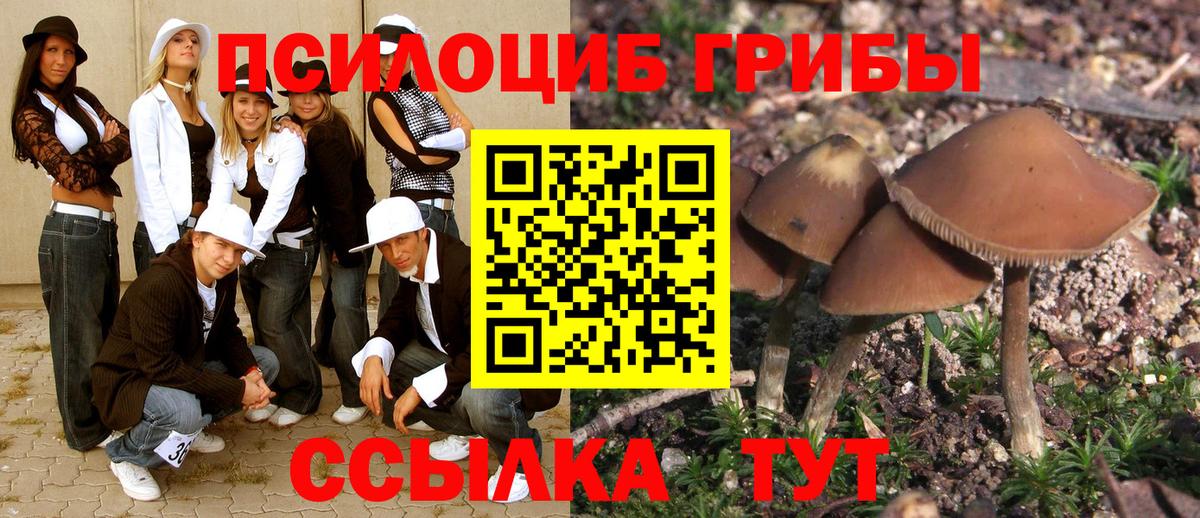 Галлюциногенные грибы GOLDEN TEACHER  Вход с VPN  Находка 